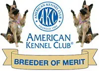 akc-breeder-of-merit-footer-200×143