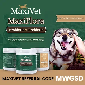 banner_300x300-maxivet
