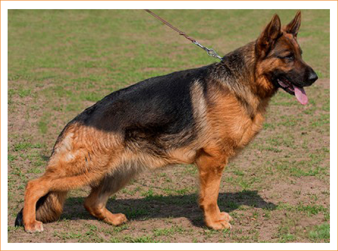 competitionfield_image2